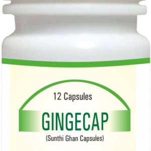 Gingecap Packshot